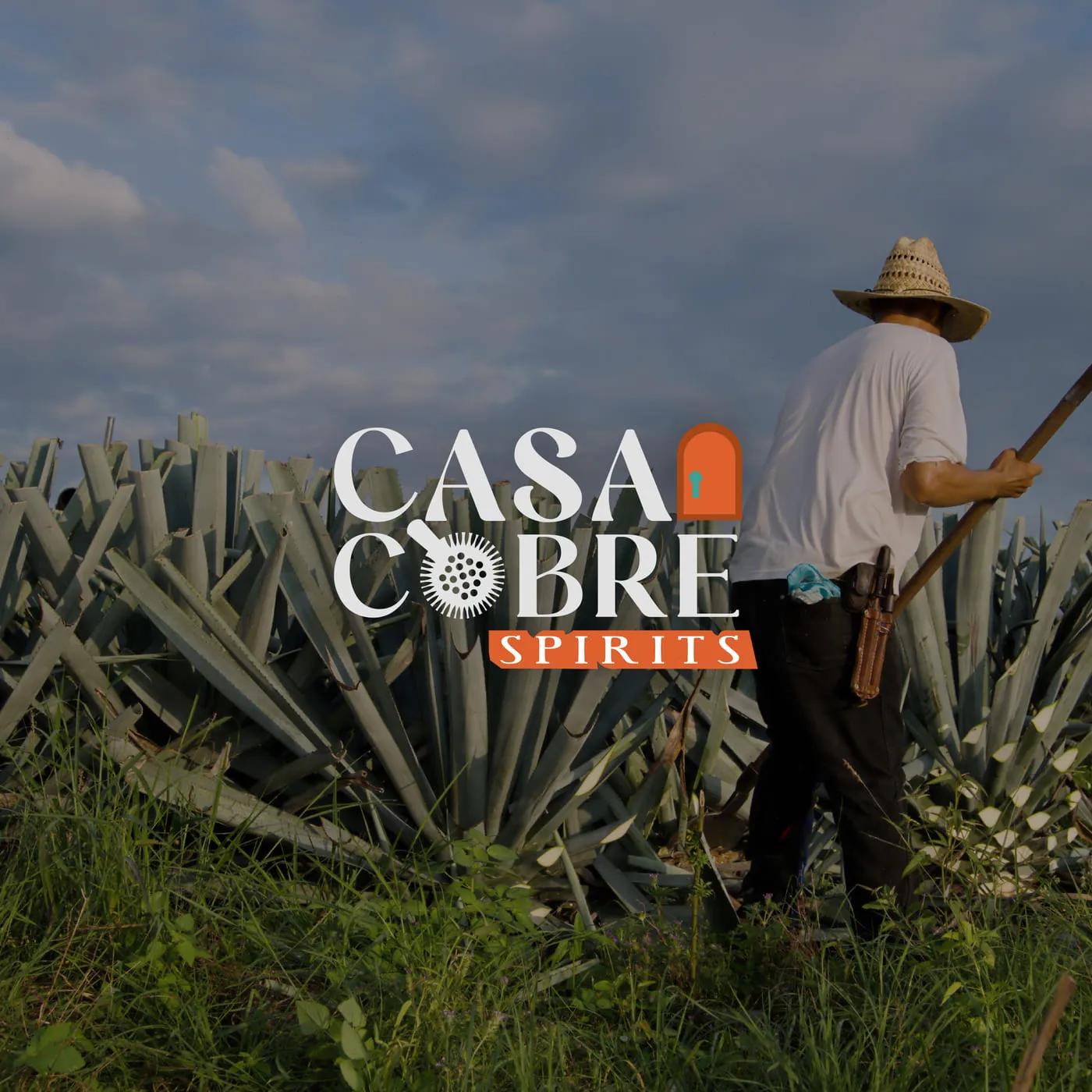 Jimador en un campo de agave con el logotipo de Casa Cobre Spirits sobrepuesto